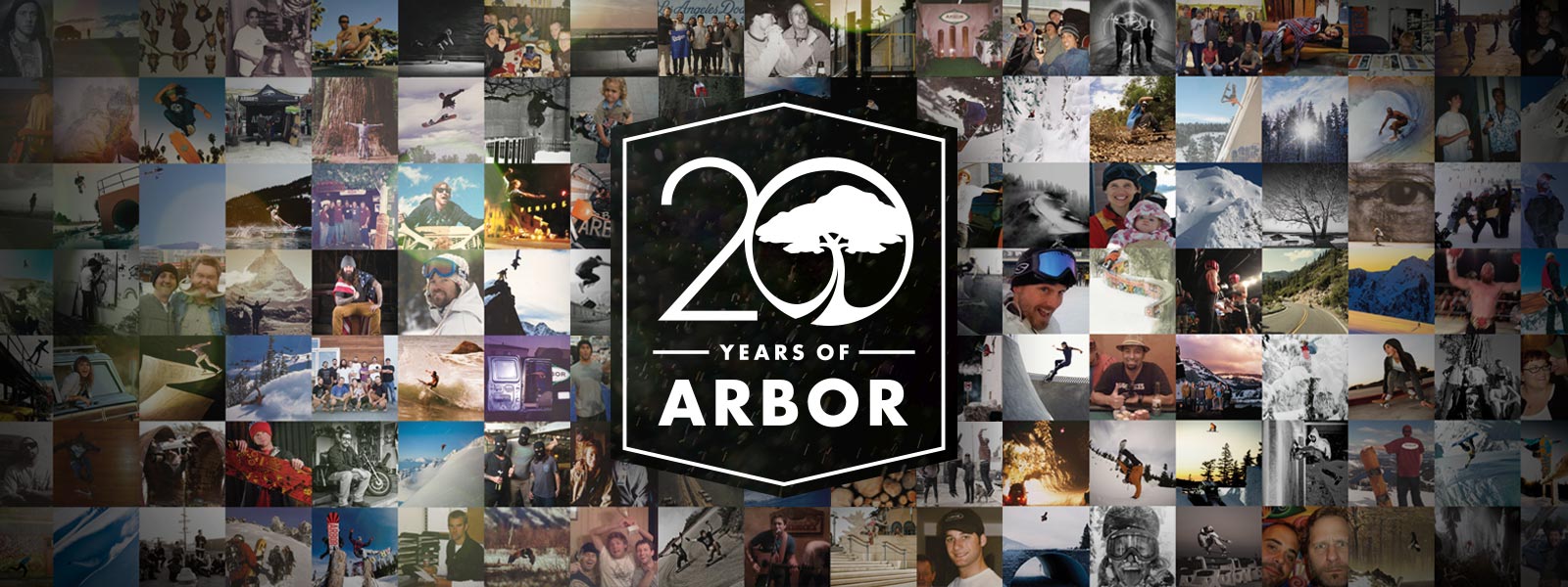 Arbor-Collective_20-Year